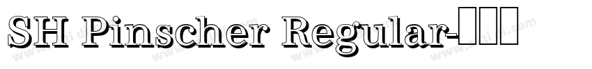 SH Pinscher Regular字体转换